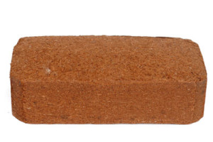 Coco Brick