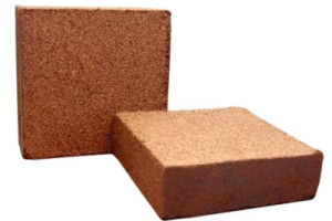 Coco Bale