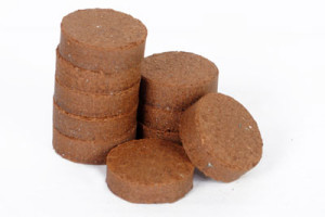 Coco Plain Pellet 30 mm