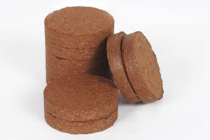 Coco Plain Pellet 40mm